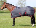 Hyconic 250g Std Stable